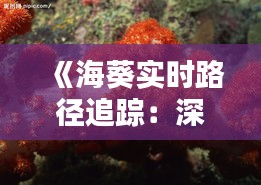 《海葵实时路径追踪：深圳，你离海洋生物有多远？》