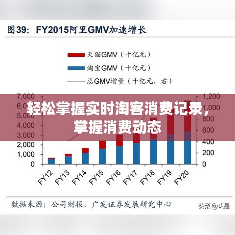 轻松掌握实时淘客消费记录，掌握消费动态