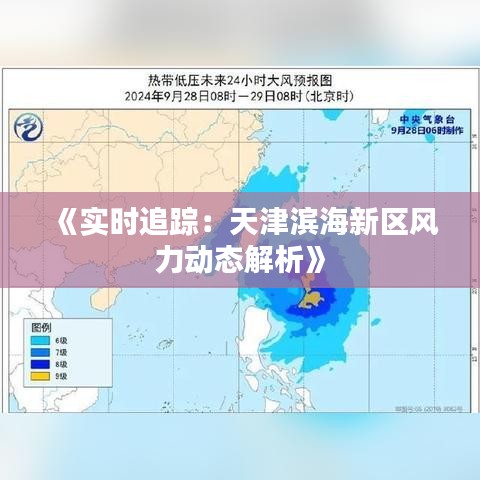 《实时追踪：天津滨海新区风力动态解析》