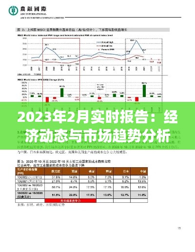 2023年2月实时报告：经济动态与市场趋势分析