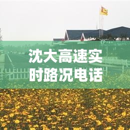 沈大高速实时路况电话：出行无忧的贴心助手