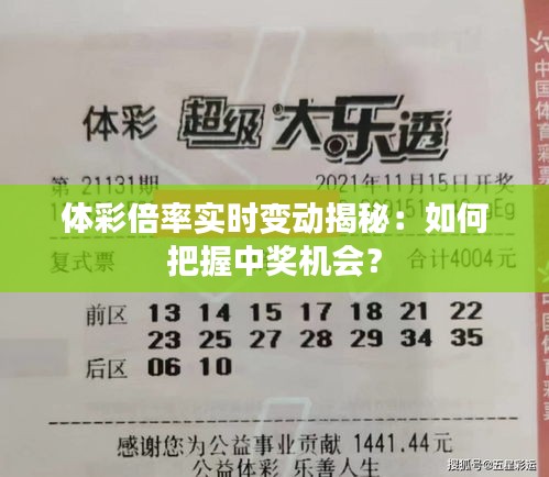 体彩倍率实时变动揭秘：如何把握中奖机会？