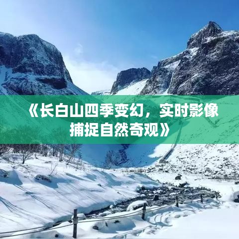 关于我们 第458页