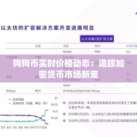 狗狗币实时价格动态：追踪加密货币市场新宠