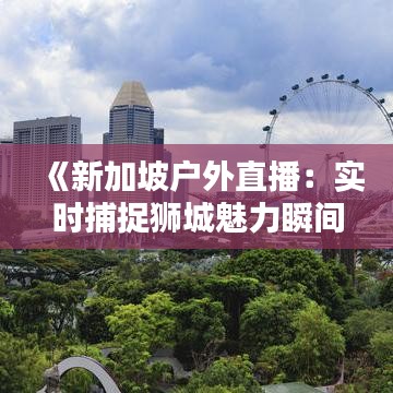 《新加坡户外直播：实时捕捉狮城魅力瞬间》