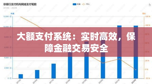 大额支付系统：实时高效，保障金融交易安全