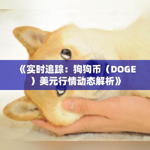 《实时追踪：狗狗币（DOGE）美元行情动态解析》