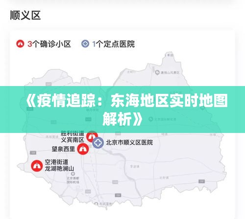 《疫情追踪：东海地区实时地图解析》