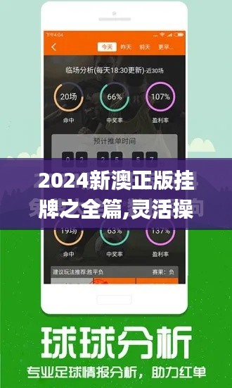 2024新澳正版挂牌之全篇,灵活操作方案设计_旗舰款9.128