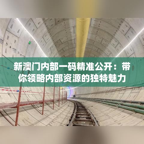 新澳门内部一码精准公开：带你领略内部资源的独特魅力