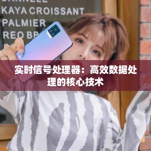 实时信号处理器：高效数据处理的核心技术