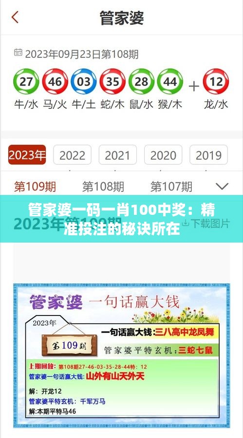 管家婆一码一肖100中奖：精准投注的秘诀所在
