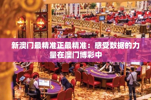 鸢飞鱼跃 第3页