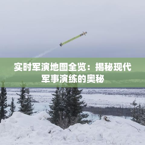 雍容华贵 第4页