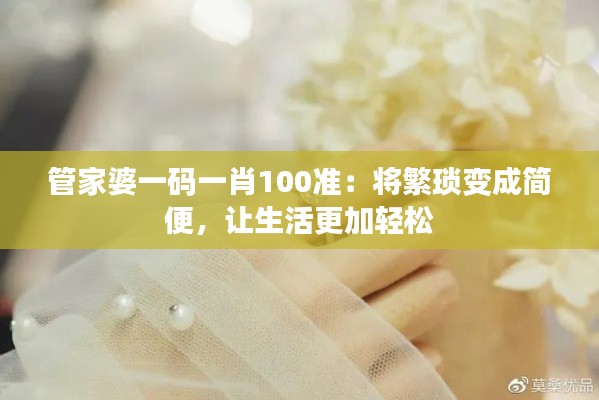 管家婆一码一肖100准：将繁琐变成简便，让生活更加轻松