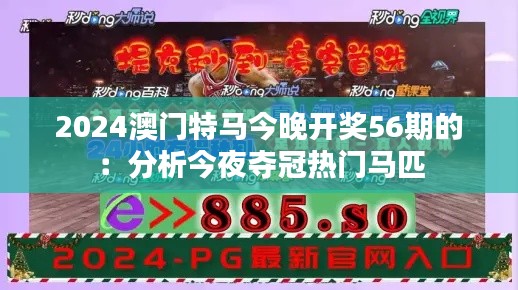 2024澳门特马今晚开奖56期的：分析今夜夺冠热门马匹