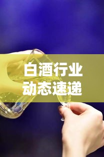 白酒行业动态速递：最新新闻实时报道
