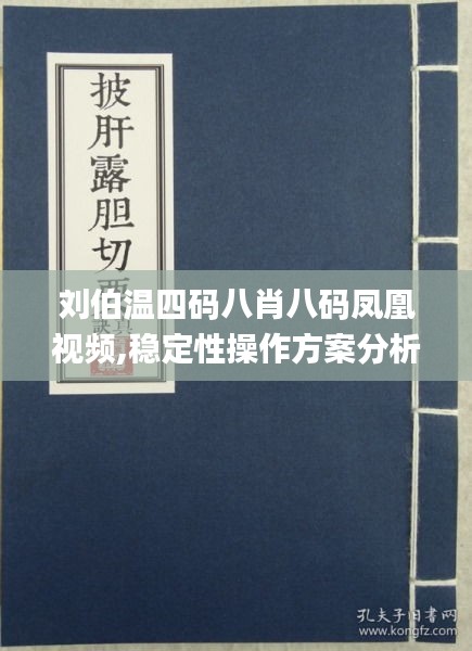 刘伯温四码八肖八码凤凰视频,稳定性操作方案分析_SE版9.438