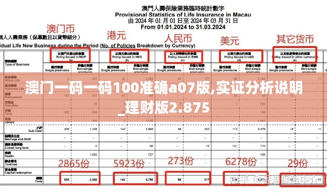澳门一码一码100准确a07版,实证分析说明_理财版2.875