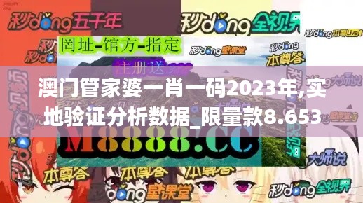 澳门管家婆一肖一码2023年,实地验证分析数据_限量款8.653
