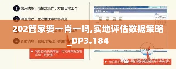 202管家婆一肖一吗,实地评估数据策略_DP3.184
