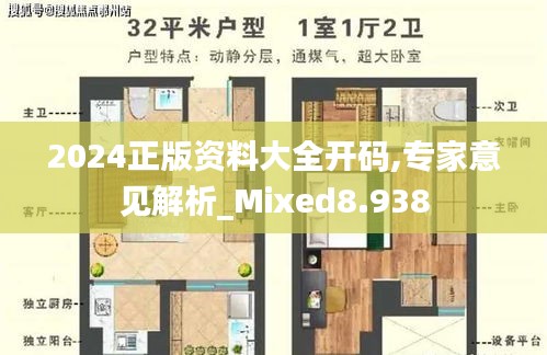 2024正版资料大全开码,专家意见解析_Mixed8.938