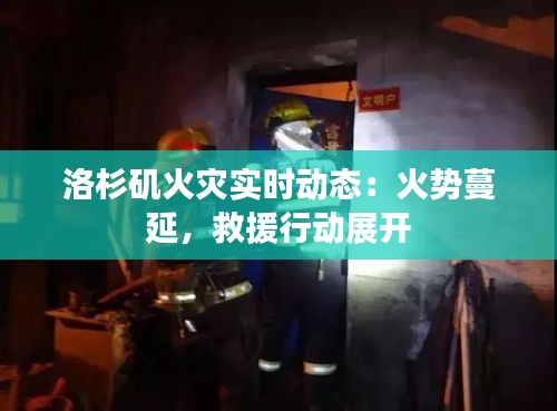 洛杉矶火灾实时动态：火势蔓延，救援行动展开