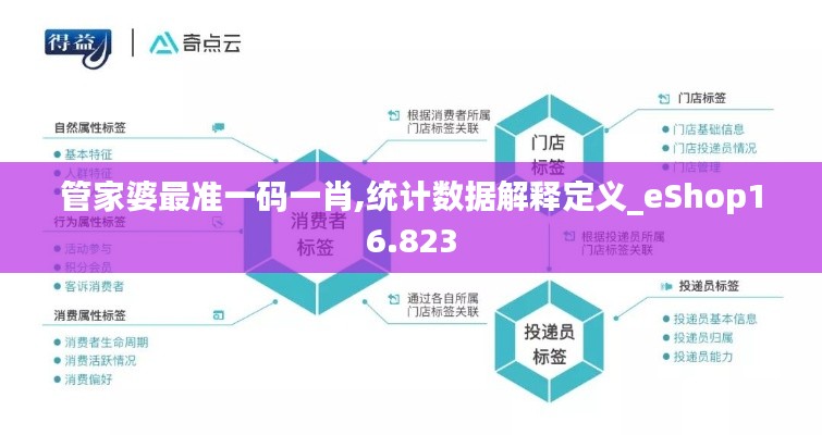 管家婆最准一码一肖,统计数据解释定义_eShop16.823