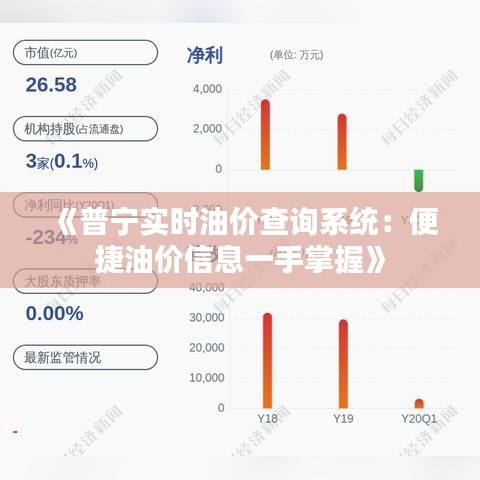 《普宁实时油价查询系统：便捷油价信息一手掌握》