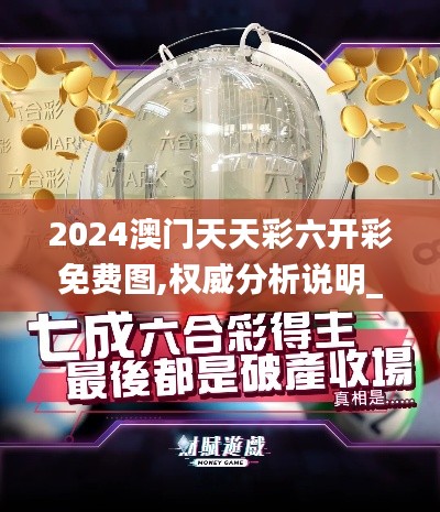 2024澳门天天彩六开彩免费图,权威分析说明_投资版4.466