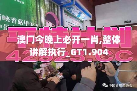 澳门今晚上必开一肖,整体讲解执行_GT1.904
