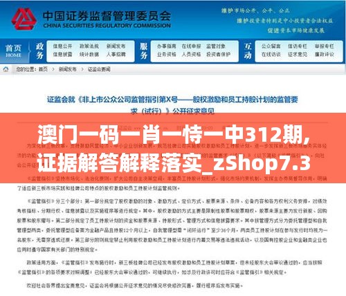 澳门一码一肖一恃一中312期,证据解答解释落实_zShop7.319