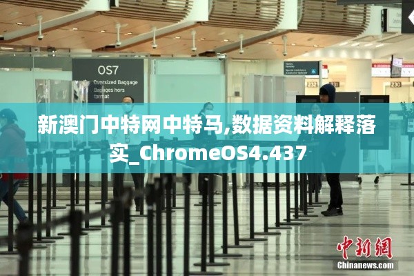 分子筛 第104页