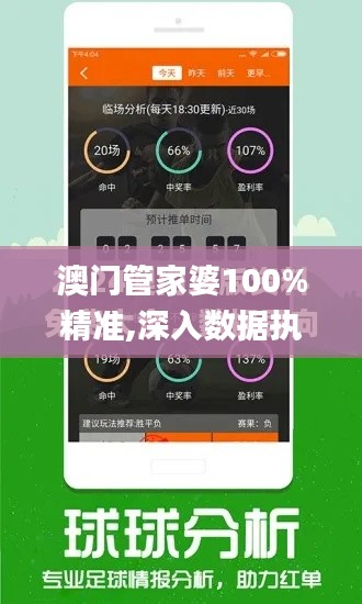 澳门管家婆100%精准,深入数据执行计划_理财版2.164