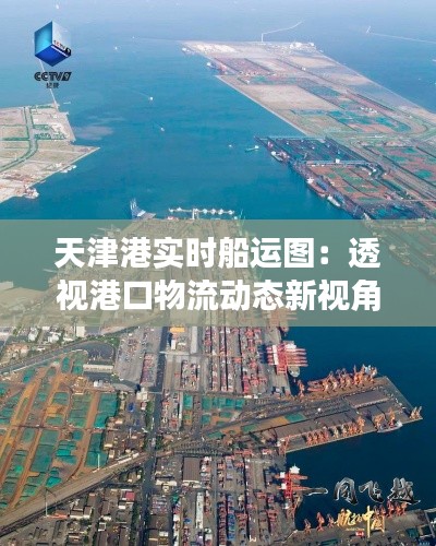 天津港实时船运图：透视港口物流动态新视角