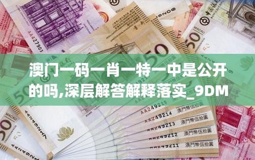 澳门一码一肖一特一中是公开的吗,深层解答解释落实_9DM5.355