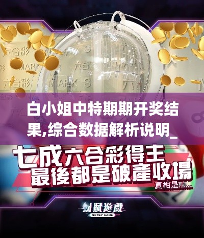 白小姐中特期期开奖结果,综合数据解析说明_UHD版3.870