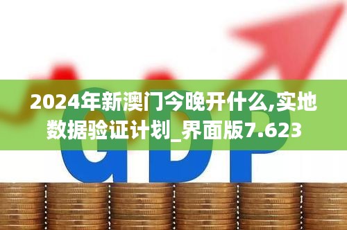 2024年新澳门今晚开什么,实地数据验证计划_界面版7.623
