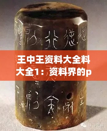 王中王资料大全料大全1：资料界的precious gem隐谐于名称