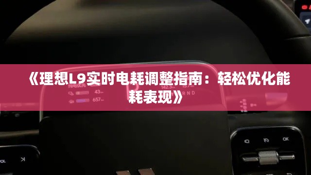 《理想L9实时电耗调整指南：轻松优化能耗表现》