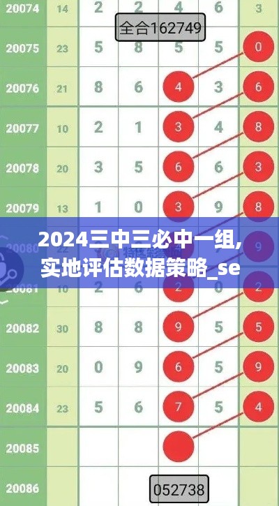 2024三中三必中一组,实地评估数据策略_set10.302