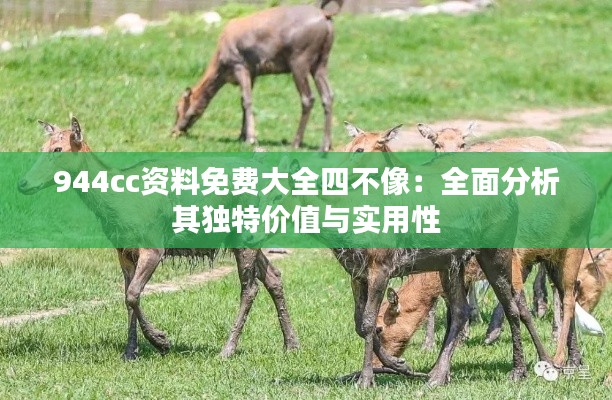 944cc资料免费大全四不像：全面分析其独特价值与实用性