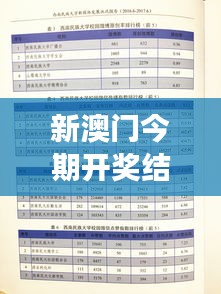 新澳门今期开奖结果查询表图片：一览无遗的中奖梦想清单