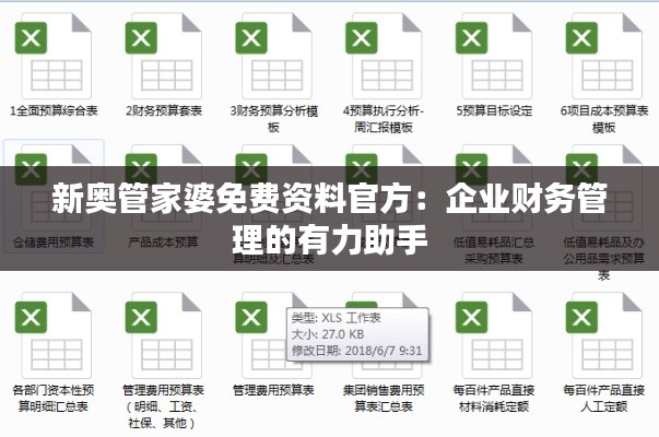 新奥管家婆免费资料官方：企业财务管理的有力助手