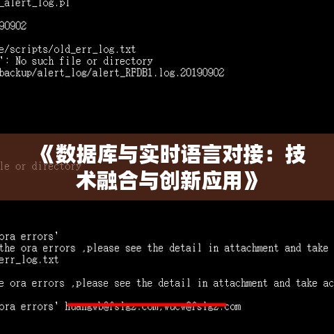 《数据库与实时语言对接：技术融合与创新应用》