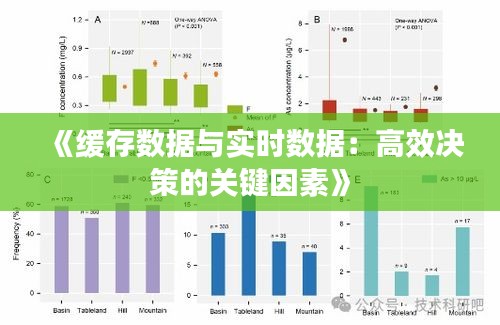 《缓存数据与实时数据：高效决策的关键因素》