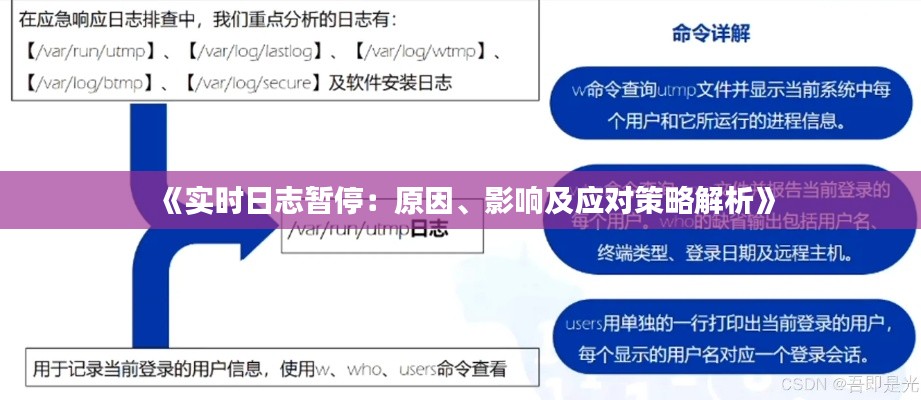 《实时日志暂停：原因、影响及应对策略解析》