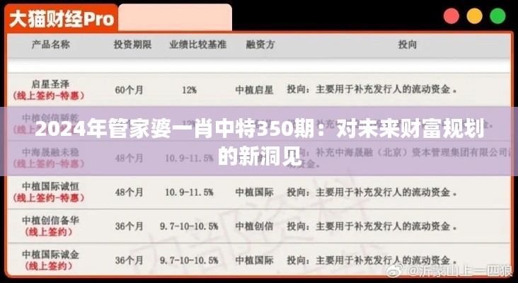 2024年管家婆一肖中特350期：对未来财富规划的新洞见