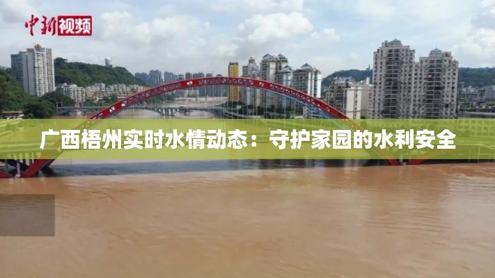 广西梧州实时水情动态：守护家园的水利安全