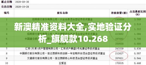 新澳精准资料大全,实地验证分析_旗舰款10.268